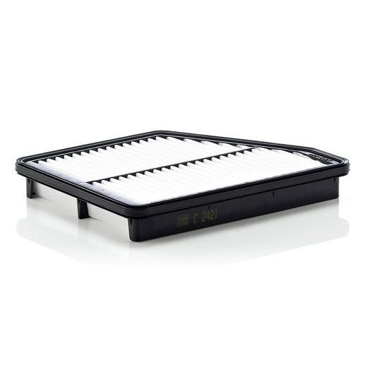 Vzduchový filtr MANN-FILTER C 2421