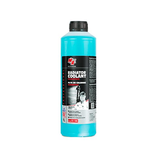 MA Professional 61-106 1L