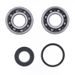 Crankshaft Rebuilding Kit ATHENA P400325444001 (bearing and oil seal kit)