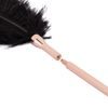 Rosy Gold - Feather Tickler & Whip