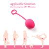 Svakom Svakom - Nova Kegel Balls Plum Red