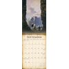 FANTASY ART OF FRANK FRAZETTA - 2019 CALENDAR ***50% OFF!***