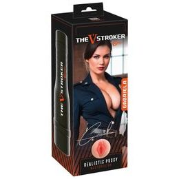 Rebel The V-Stroker Gabriela