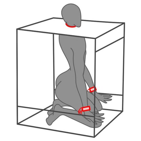 Bukkake Black a Red Secret Dome