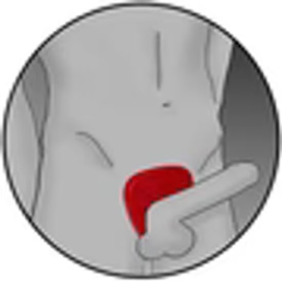 ElectraStim Silicone Fusion Viper Cock Shield