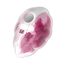 Satisfyer Cloud Dancer Red