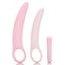 California Exotic Novelties Inspire Silicone Dilator Kit