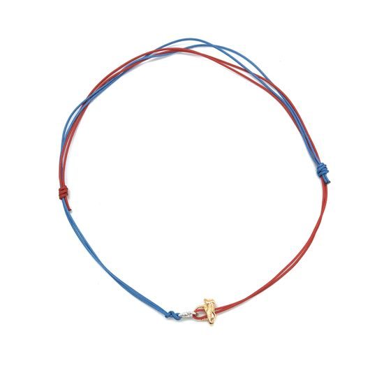 Přívěsek Sampaoli Reverso & Carabiner BR-GO-RH blue&red