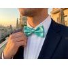 Męska muszka turkusowa