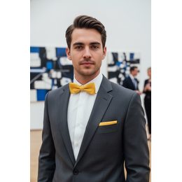 Glatte Herrenfliege cremig