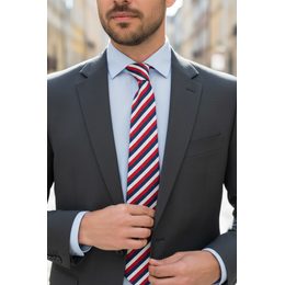 Cravată albastră cu un model subtil