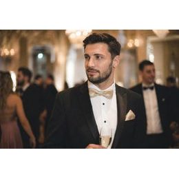 Męska muszka z chusteczką w kolorze złotym