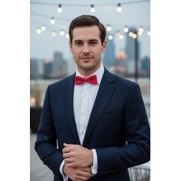 Bílý motýlek Ceremoni s lesklými ornamenty