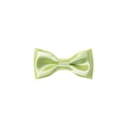 Papion MINI Lime