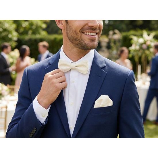 Cremige gestreifte Herren Fliege mit Einstecktuch