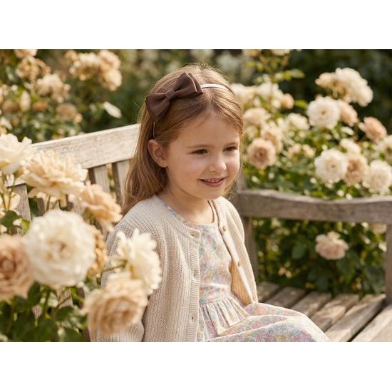 Brązowa opaska z muchą