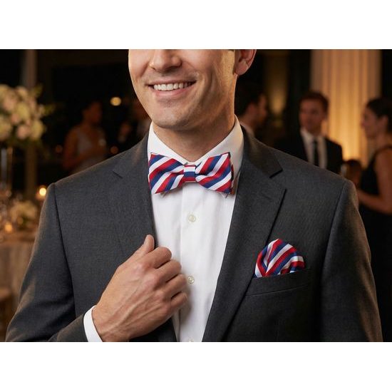 Herren Fliege Tricolore mit Einstecktuch