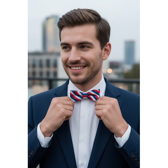 Herren Fliege Tricolore