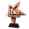 Trofeo Estrella al Desempeño