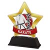 Trofeo Mini Estrella de Karate