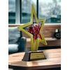 Trofeo Estrella de Oro para Animadoras