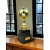 Trofeo de Fútbol Sealy Tower Oro y Plata