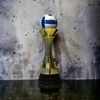 Trofeo de Voleibol de Triple Nivel