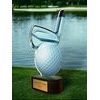 Trofeo Altus de Golf Color
