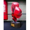 Trofeo Altus de Boxeo Color