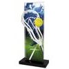 Trofeo Apla de Lacrosse