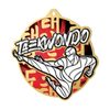 Medalla metálica de Taekwondo acero inoxidable