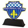 Trofeo de Acrílico Personalizado con Logo de Club de Fútbol