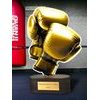 Trofeo Altus Clásico de Boxeo