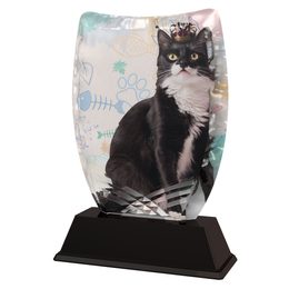 Trofeo Acrílico Iceberg para Exhibición de Gatos
