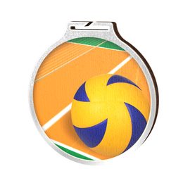Medalla Habitat de Madera Ecológica para Voleibol Plata