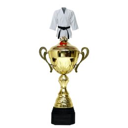 Copa Metálica Minot para Artes Marciales Oro