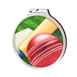 Medalla Habitat de Madera Ecológica para Cricket Plata