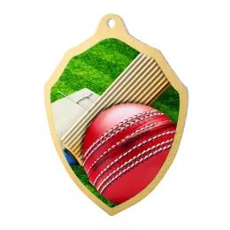 Medalla de Cricket Molten de Acero Inoxidable Fundido