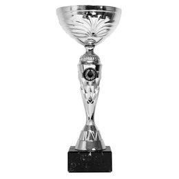 Copa de Plata ECL2022/28