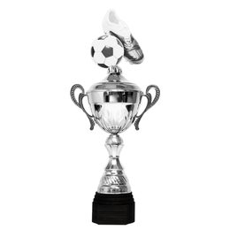 Copa Metálica Minot de Fútbol Plata