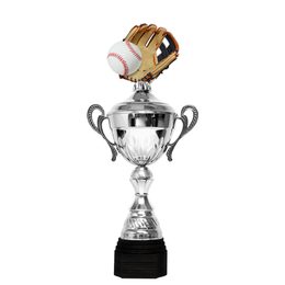 Copa Metálica Minot de Béisbol Plata