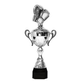 Copa Metálica Minot de Boxeo Plata