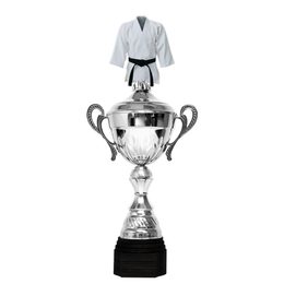 Copa Metálica Minot de Artes Marciales Plata
