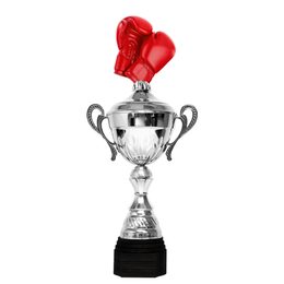 Copa Metálica Minot de Boxeo Plata