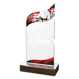 Trofeo Clásico de Artes Marciales de Madera y Acrílico United