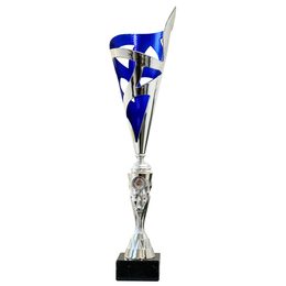 Copa de Valor Austin Plata y Azul con Láser