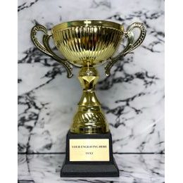 Copa de Oro STL2019/19