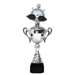 Copa Metálica Minot de Natación Plata