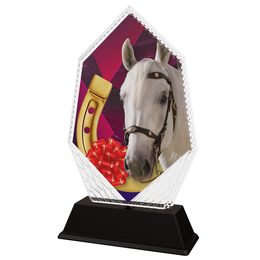 Trofeo Cleo de Caballo