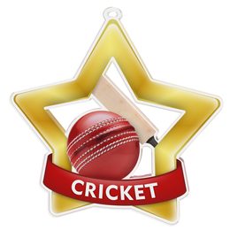 Medalla Mini Estrella de Acrílico Oro para Cricket
